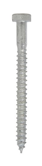 1/4 in. x 3 in. L Hex Hot Dipped Galvanized Steel Lag Sc