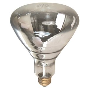 PRODUCTS 125-Watt R40 Incandescent Heat Lamp Light Bulb