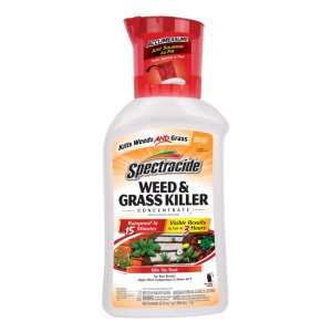 Weed and Grass Killer Concentrate 32 oz - Diquat