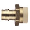 (image for) 3/4 in. Brass PEX-A Barb x 3/4 in. CPVC Straight Adapter