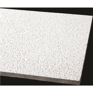 World Industries ARMSTRONG ACOUSTICAL CEILING PANEL 17