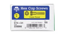 5/16 in. Dia. x 3/4 in. L Heat Treated Steel Hex Head Ca