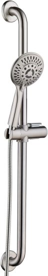 ADA Shower Head and Grab Bar