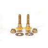 5/16 in. x 2-1/4 in. No Cut Brass Closet Toilet Bolt Kit