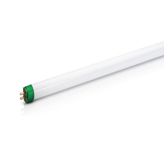 54 W T5 0.63 in. D X 48 in. L Fluorescent Bulb Cool White Linear