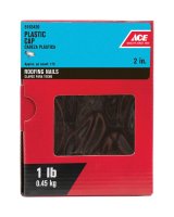 2 in. Roofing Galvanized Plastic/Steel Nail Flat 1 lb.