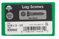 5/16 in. x 3-1/2 in. L Hex Stainless Steel Lag Screw 25