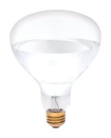250 watt R40 Reflector Incandescent Bulb E26 (Mediu