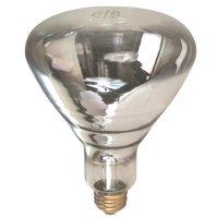 PRODUCTS 125-Watt R40 Incandescent Heat Lamp Light Bulb