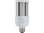 Security Light Bulbs