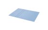 Single Acrylic Sheet 36 in. W x 48 in. L x .100 in.