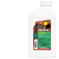 Eraser Weed and Grass Killer Concentrate 1 qt.