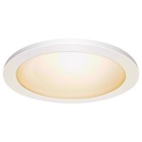 11 in. L Frost White LED Flat Panel Light Fixture