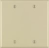 Ivory 2 gang Thermoset Plastic Blank Wall Plate 1 pk