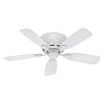 Ceiling Fans