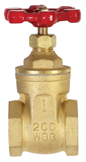 1 in. Brass Gate Valve Lead-Free FIP