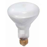 65-Watt BR30 Incandescent Light Bulb (1-Bulb)