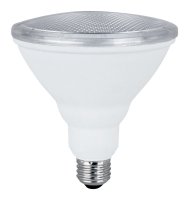 PAR38 E26 (Medium) LED Bulb Daylight 90 Watt Equivalence 2 p