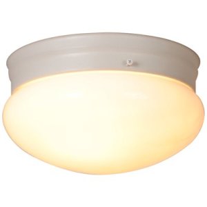 9.125 in. 2-Light White Flushmount