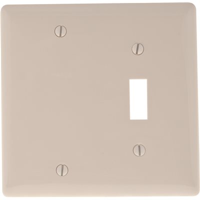 White 2 Gang Toggle/Blank Wallplate