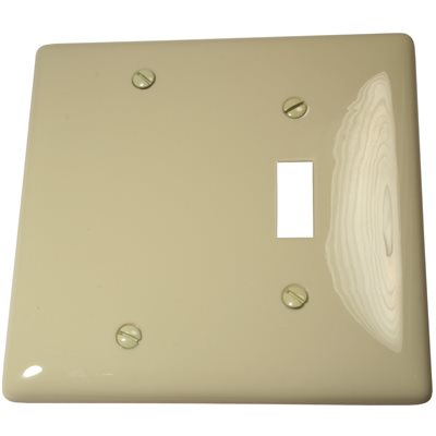 Ivory 2 Gang Switch/Blank Wallplate