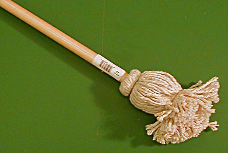 TOY MOP